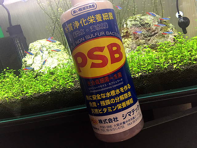 市販のアクアリウム用 バクテリア剤 液 の効果とは 使用するメリットとデメリットについて Aquarium Favorite