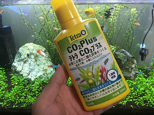 テトラco2plus プラス は器具不要で二酸化炭素を水槽内に作り出す Aquarium Favorite