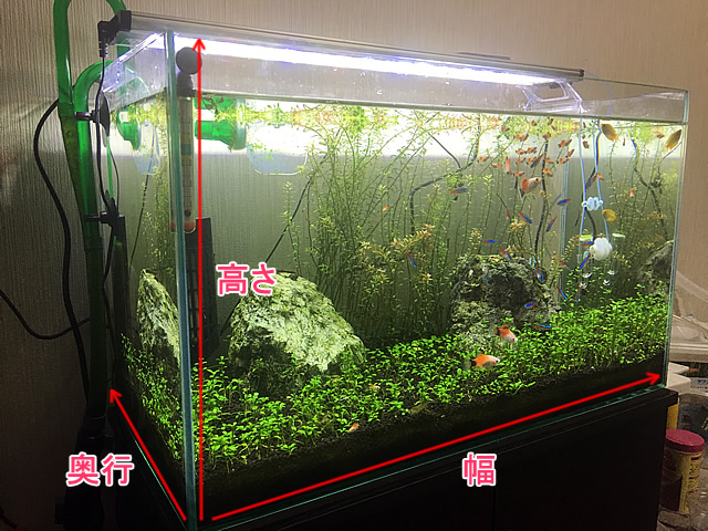 熱帯魚の水槽のサイズとタイプ別の水量 ℓの計算式も 一覧 一番お勧めのサイズとは Aquarium Favorite