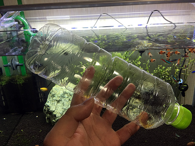 熱帯魚水槽の蒸発した水をペットボトルで自動 水足し するアイテムが便利すぎる Aquarium Favorite