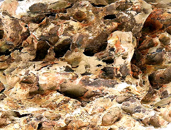 熱帯魚 アクアリウムロック 気孔石 は水草レイアウトやエビの隠れ家に最適 Aquarium Favorite